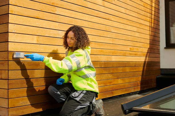 Best Siding for New Construction  in Paynesville, MN